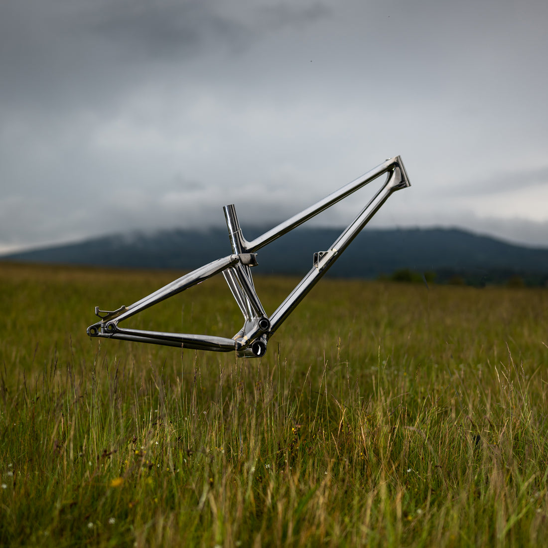 Moorhuhn: 3D-Printed Steel Redefines Elegance
